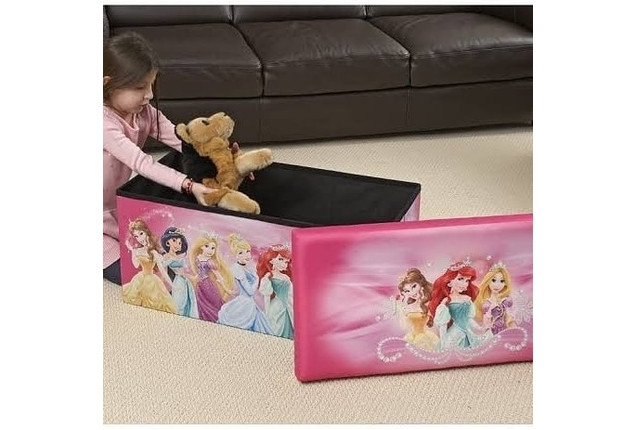 Princess Storage Box