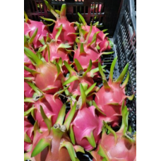 Red Dragon Fruit  4.50kg per box