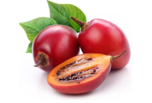 Tree Tomato 2.50kg per box