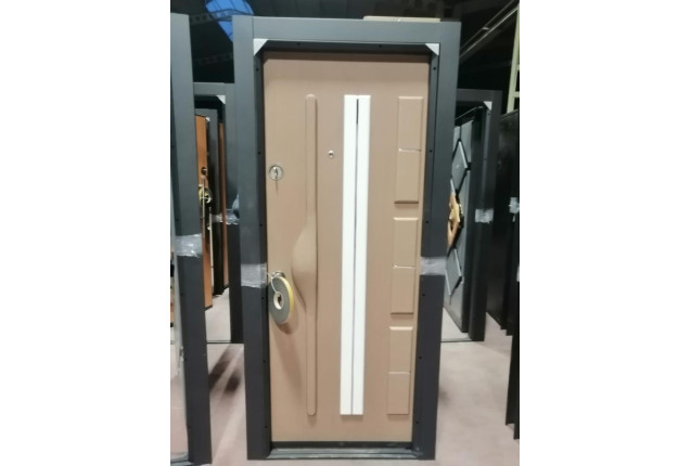 Security Door- SD02