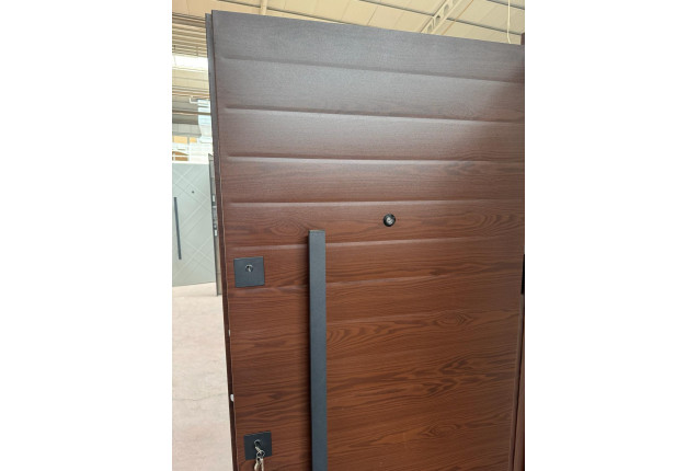 Security Door- SD01