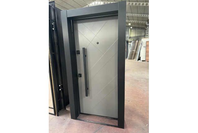 Security Door- SD09