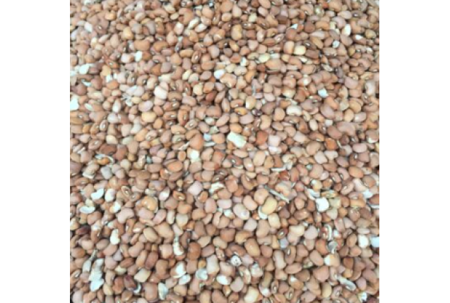 Oloyin Beans -per bag x 32