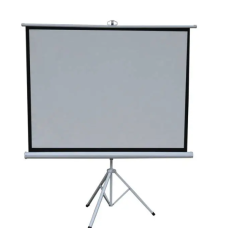 Green Lion 72" Portable Projection 