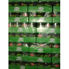 Green Giant Corn - 24pcs/carto