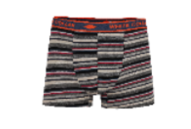 Men's Boxer. WRMB1002 -price/dzn