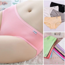 LADIES PANTIES. WRLP1045 -price/dzn