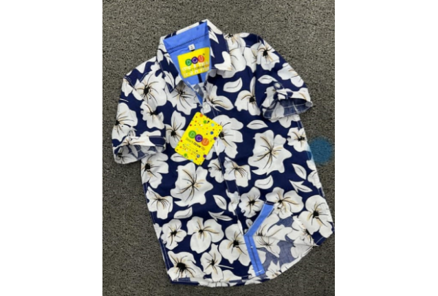 Aloha-2 Boys Shirt