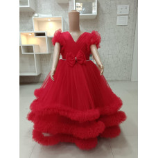 Adorable Red Tulle Dress for G