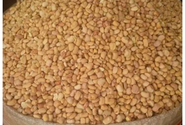 White & Brown Beans -price/100kg