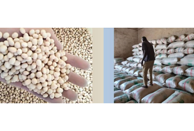 Soya Beans -price/100kg