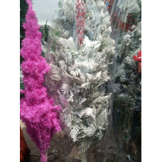 Festive Foliage Assortment