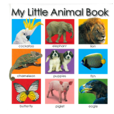 My Little Case Of Animal Books