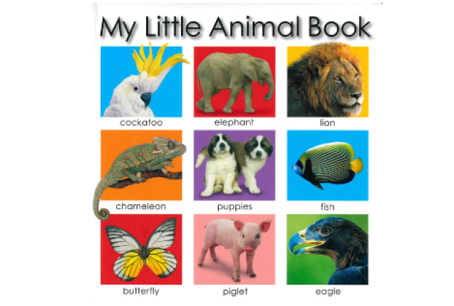 My Little Case Of Animal Books