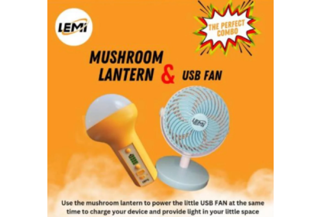 Solar Mushroom lantern