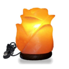 Flower Salt Lamps