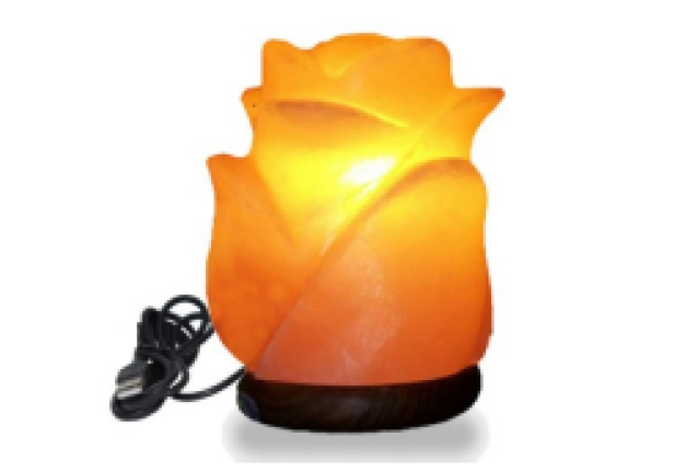 Flower Salt Lamps