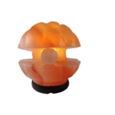 Seashell salt lamp