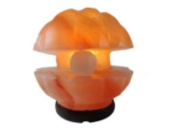 Seashell salt lamp