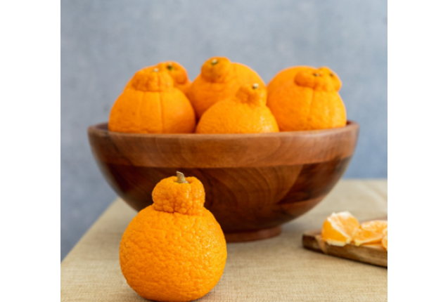 SUMO MANDARINS