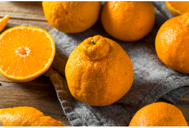 SUMO MANDARINS