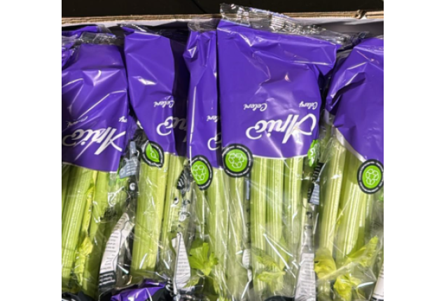 Leek - 5kg/Box