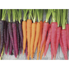 Carrots Heirloom - (Red, Purple or Orang