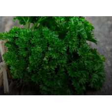 parsley Flat 3.5kg/Box