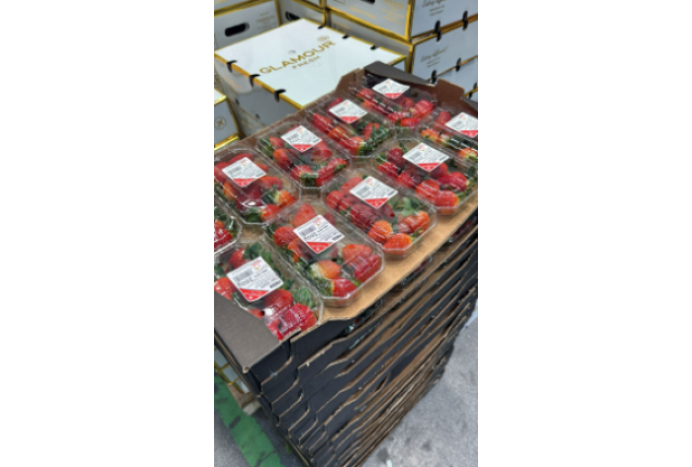 strawberries Red Guaperal 4.8kg/Box