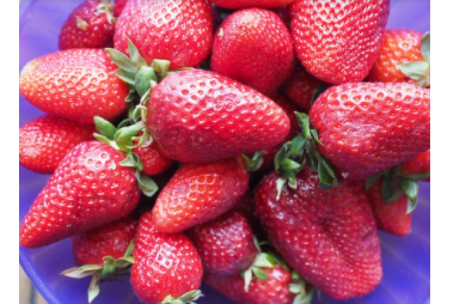 Strawberries Red Guaperal 2.5kg/Box