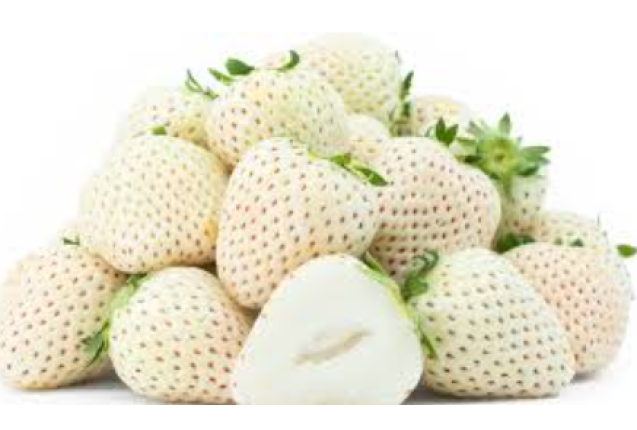 Strawberries White 0.6kg/Box