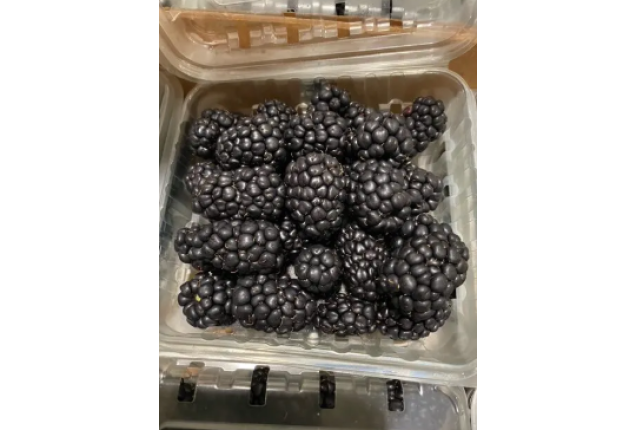 Blackberry Guatemala 1.5kg/Box