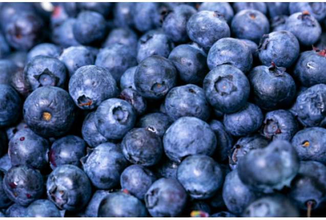 Blueberries 1.5kg/Box