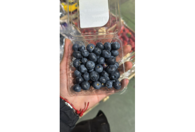 Blueberries 1.5kg/Box