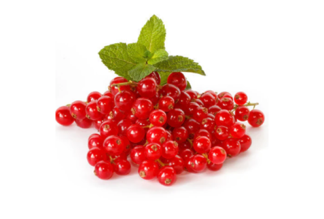 Red Currant 1.5kg/Box