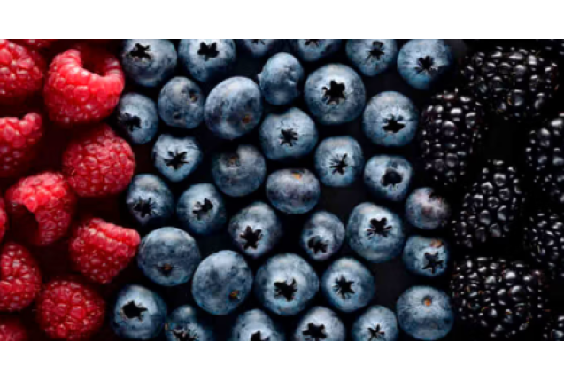 BERRIES MIX ( Blackberry, Raspberry, Blueberries)  1.5kg/Box