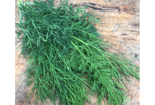 Dill 3.0kg/Box