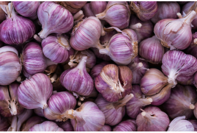 Garlic Violet 10kg/Box