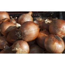 Sweet Onions 10kg/Box