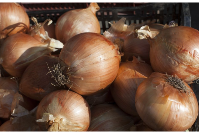 Sweet Onions 10kg/Box