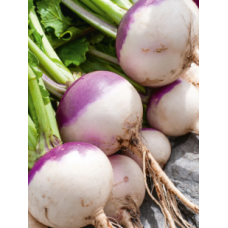 Turnip Purple  3kg/Box