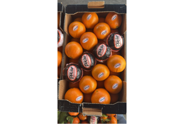 Mandarins Tang Gold/Nadorcott 7.5kg/Box