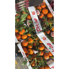 Mandarins With Leaves Nadorcott 7.5kg/Box