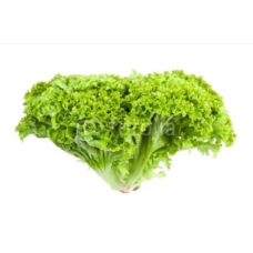 Lettuce Lollo Biondo 3.1kg/Box