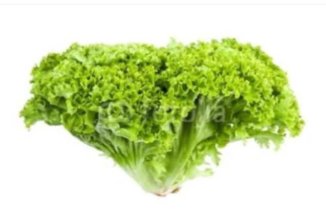 Lettuce Lollo Biondo 3.1kg/Box