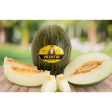 Green melons Vicentin 19kg/Box