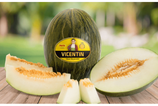 Green melons Vicentin 19kg/Box