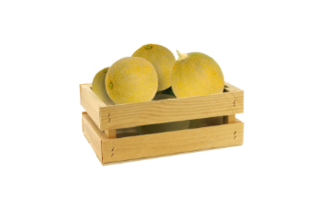 Melon Yellow Cosa Rica  15.9kg/Box