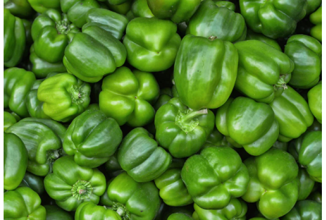 Green Pepper California - 5kg