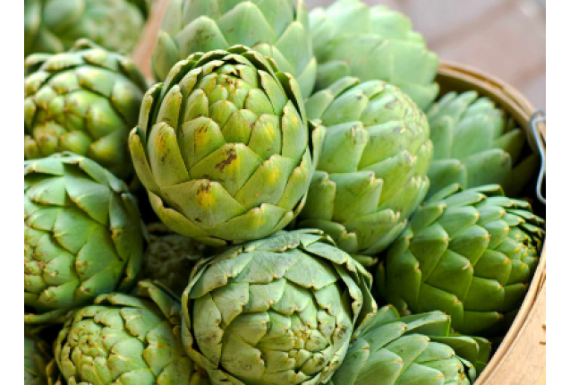 Artichoke Hybrid - 9.8KG